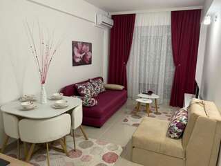 Апартаменты Iris Бар Апартаменты с 1 спальней-6